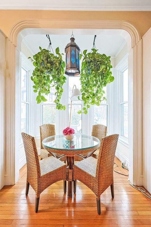 interior space featuring plenty of natural light, light wood-style flooring, and crown molding