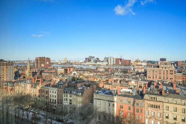 2 Commonwealth Ave Unit 15D, Boston, MA 02116 - city view