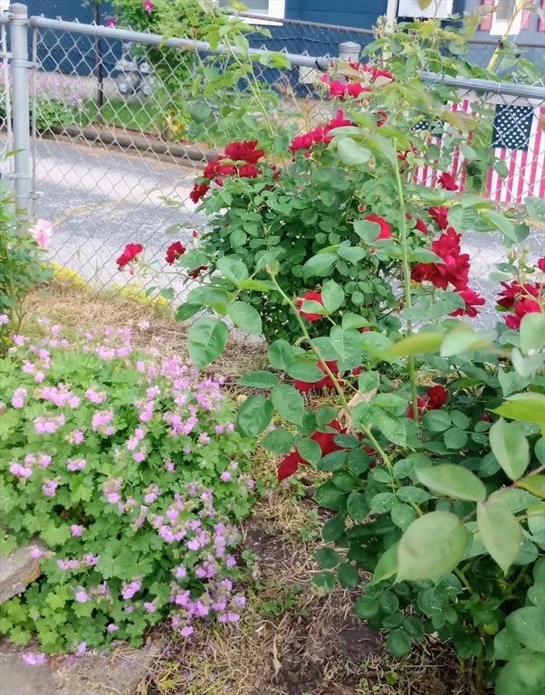 46 Pleasant St, Southbridge, MA 01550 - view of balcony