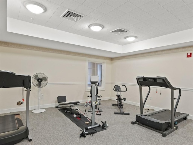 workout area featuring a raised ceiling