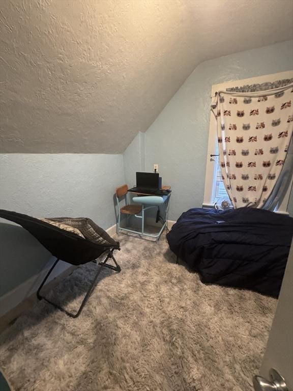 bedroom with vaulted ceiling, a textured ceiling, carpet flooring, a textured wall, and an office area