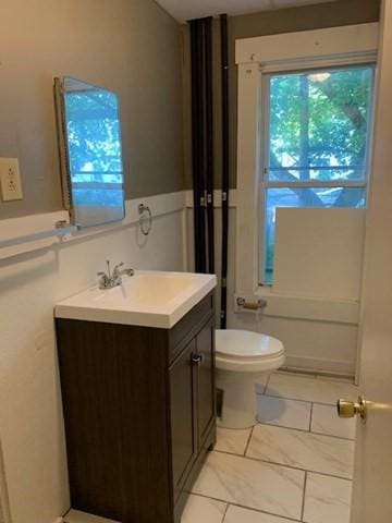 bathroom with vanity and toilet