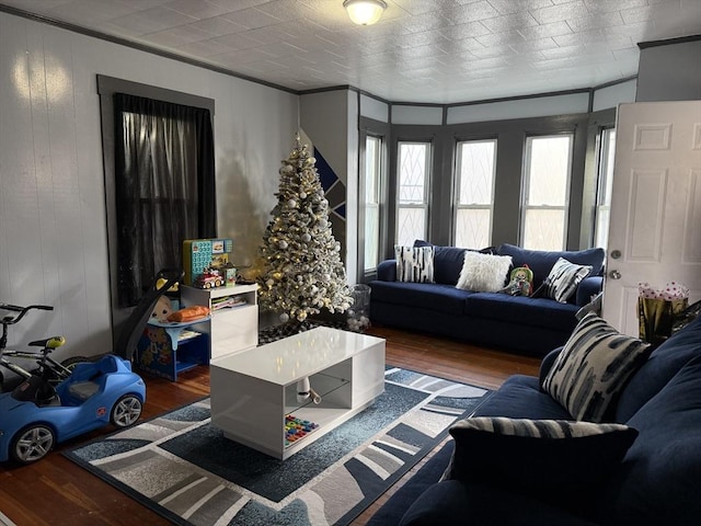 living room with dark hardwood / wood-style floors, ornamental molding, and wood walls