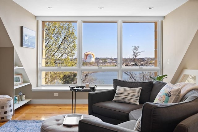 sitting room featuring wood finished floors and healthy amount of natural light