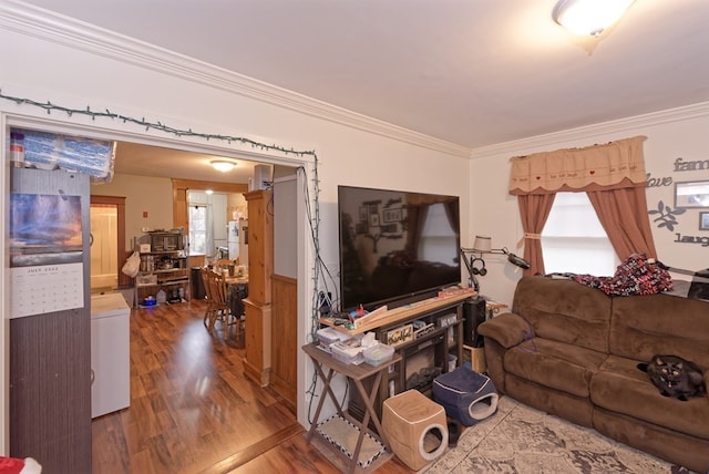 living room with crown molding and wood-type flooring