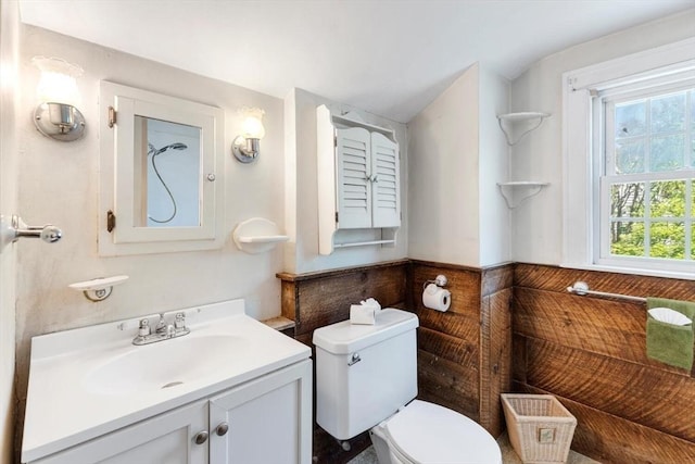 bathroom with toilet and vanity