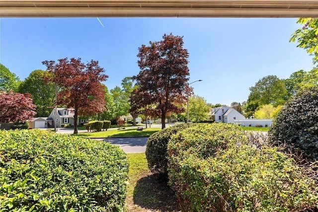 view of yard featuring view of scattered trees
