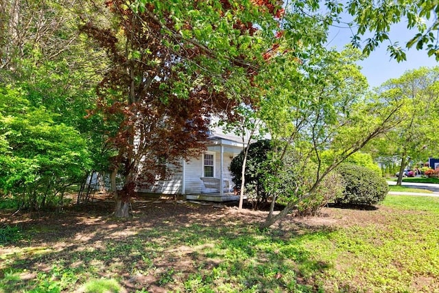 view of grassy yard