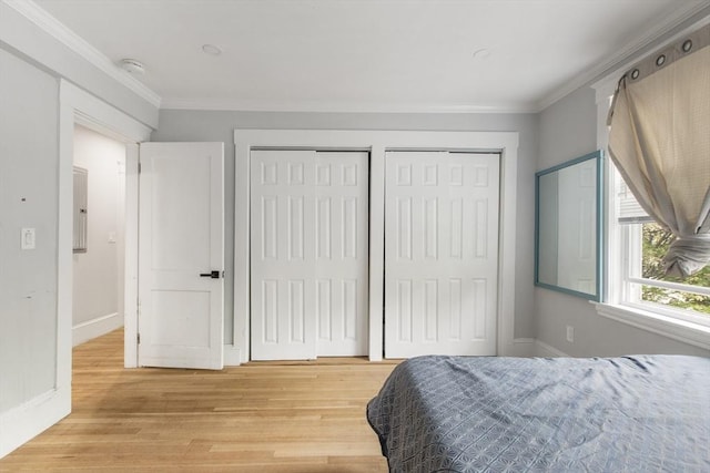 39 Pond St, Framingham, MA 01702 - bedroom with multiple closets, light wood-type flooring, ornamental molding, baseboards, and electric panel