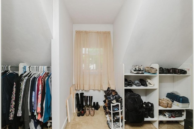 6 Gentry Ln, Taunton, MA 02780 - walk in closet with carpet floors