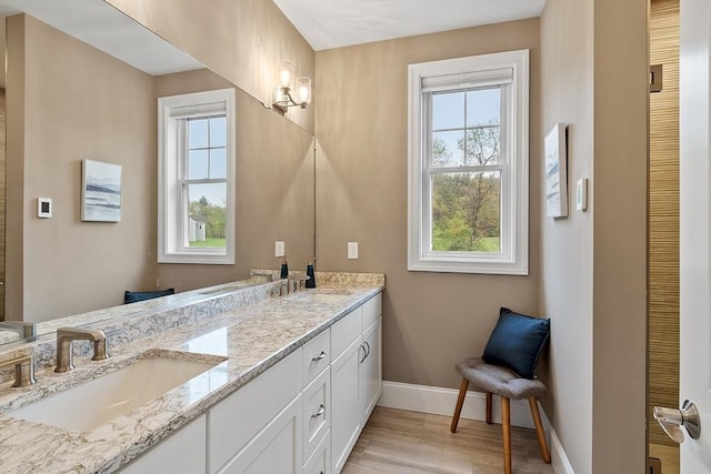 full bathroom featuring healthy amount of natural light, baseboards, and double vanity