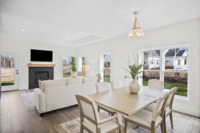 dining area with hardwood / wood-style flooring, a wealth of natural light, and a tray ceiling