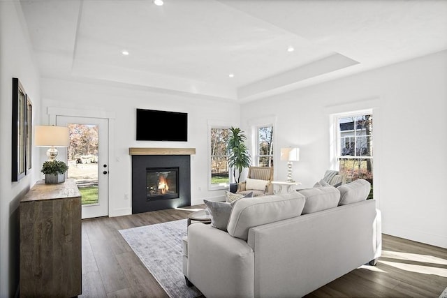 living room with dark hardwood / wood-style flooring and a tray ceiling