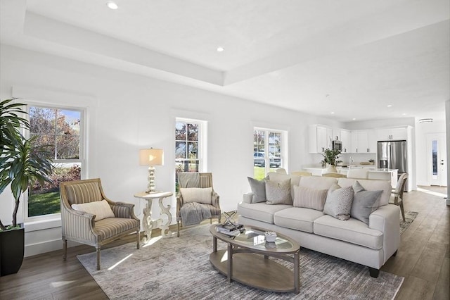 living room with a tray ceiling, dark wood-type flooring, and a healthy amount of sunlight