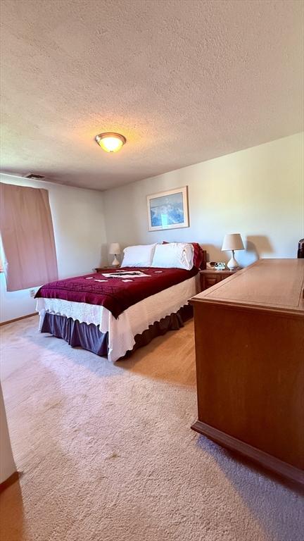 13 Ridgewood Cir, Lawrence, NY 10843 - bedroom featuring carpet flooring and a textured ceiling