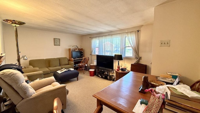 13 Ridgewood Cir, Lawrence, NY 10843 - carpeted living area featuring a textured ceiling