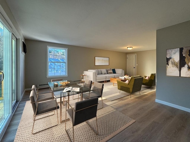 living room featuring wood-type flooring and a baseboard radiator