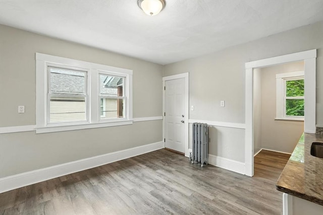 31-33 Dorset St, Springfield, MA 01108 - spare room featuring radiator and wood finished floors