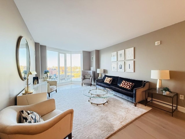 living room with hardwood / wood-style floors