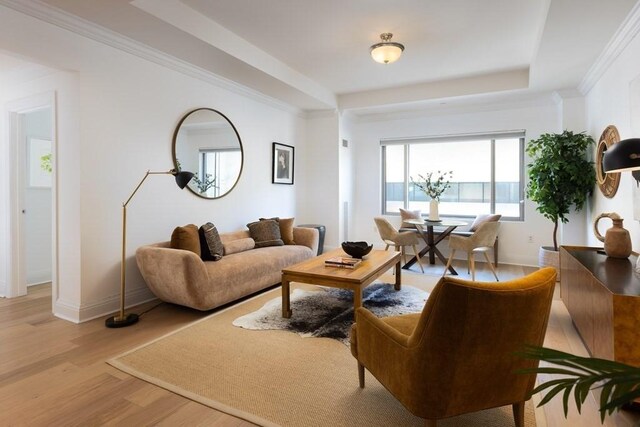 living room featuring a raised ceiling, light hardwood / wood-style flooring, and ornamental molding