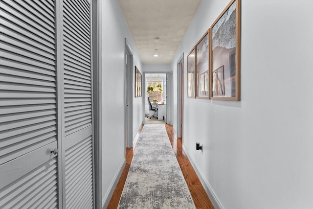 12 School St Unit 3, Salem, MA 01970 - hallway with wood finished floors and baseboards