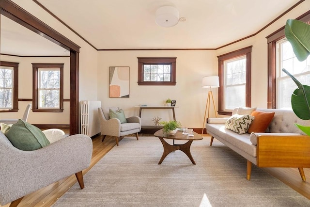 living area with radiator heating unit, ornamental molding, and light hardwood / wood-style flooring