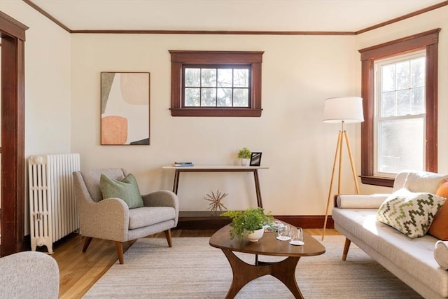 living area featuring radiator, crown molding, and light hardwood / wood-style flooring