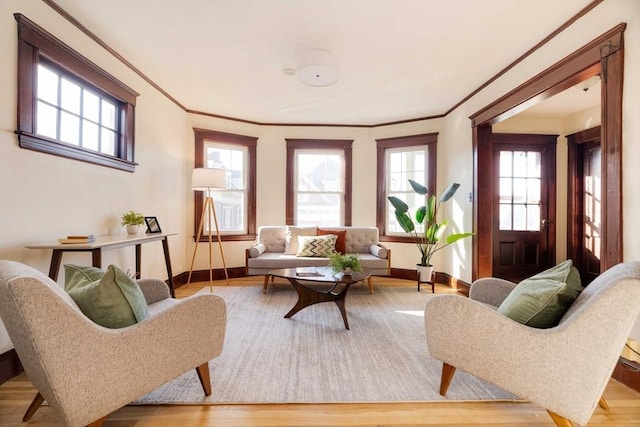 living room featuring crown molding and light hardwood / wood-style flooring