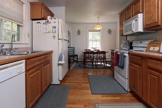 kitchen featuring a sink, light wood finished floors, white appliances, and brown cabinets