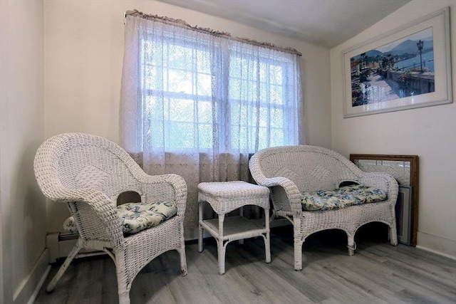 living area with baseboards and light wood-style floors
