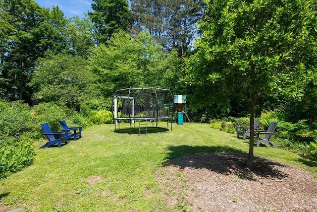 203 State St, Northampton, MA 01060 - view of grassy yard with a playground and a trampoline