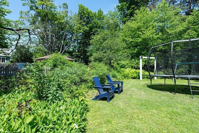 203 State St, Northampton, MA 01060 - view of grassy yard featuring a trampoline