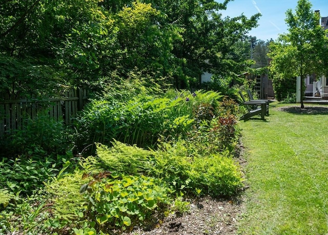 203 State St, Northampton, MA 01060 - view of yard