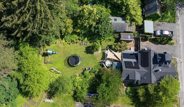 203 State St, Northampton, MA 01060 - aerial view of property and surrounding area