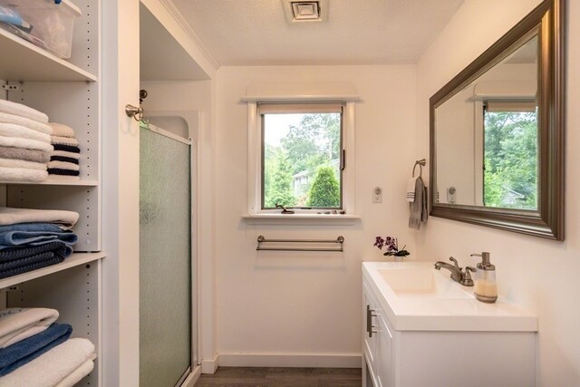 bathroom with vanity, a shower with shower door, and a healthy amount of sunlight