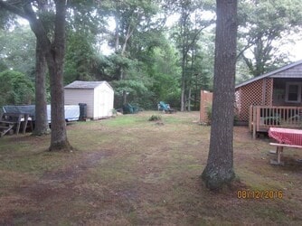 view of yard with a storage shed