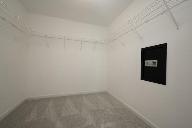 2 Dalton Ter, Holbrook, MA 02343 - spacious closet featuring carpet flooring