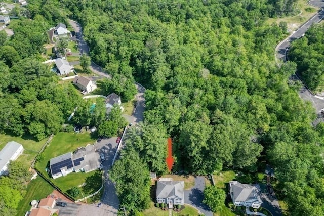 2 Dalton Ter, Holbrook, MA 02343 - aerial view of property's location with a heavily wooded area