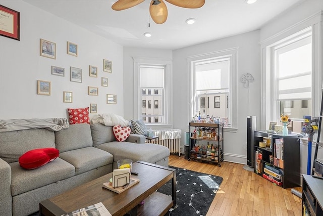 living area featuring radiator, light wood finished floors, ceiling fan, and recessed lighting