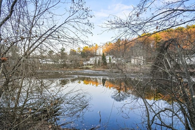 view of local wilderness featuring a water view