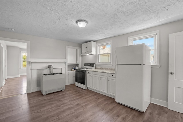 kitchen featuring a healthy amount of sunlight, hardwood / wood-style floors, and white appliances