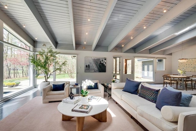 living room with beamed ceiling, a healthy amount of sunlight, and wood finished floors