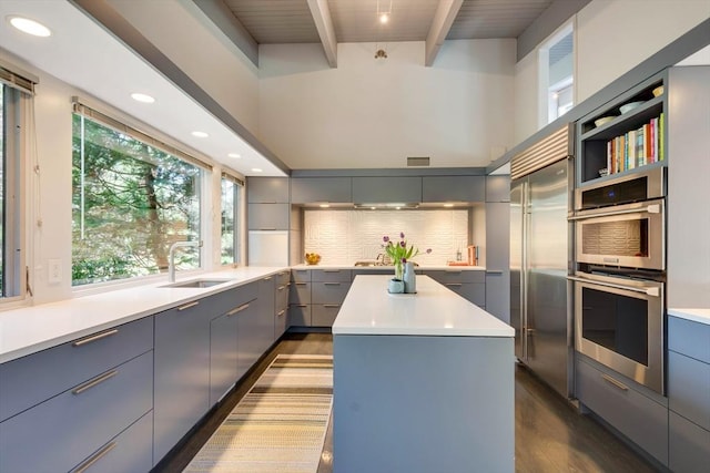 kitchen featuring gray cabinets, modern cabinets, dark wood finished floors, a sink, and stainless steel appliances