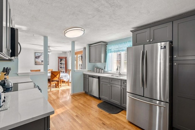 kitchen featuring ceiling fan, appliances with stainless steel finishes, sink, light wood-type flooring, and gray cabinets