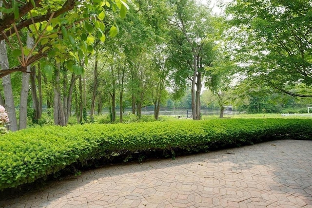 244 Salem End Rd, Framingham, MA 01702 - view of community