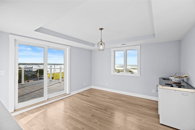 empty room featuring light hardwood / wood-style floors, a tray ceiling, and a healthy amount of sunlight