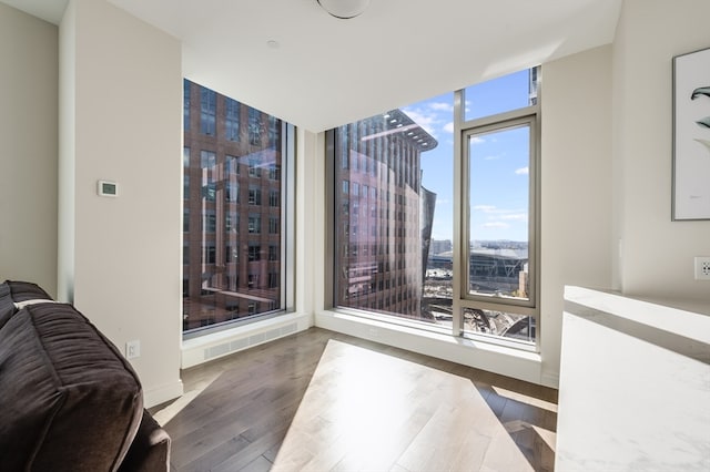 spare room with hardwood / wood-style flooring and a healthy amount of sunlight