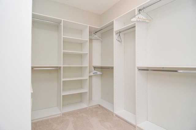 spacious closet with carpet flooring