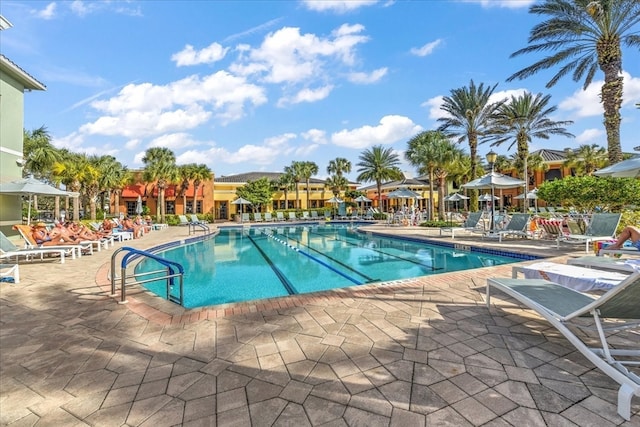 view of swimming pool with a patio