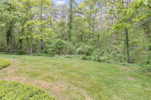 20 Crestview Cir, Barnstable, MA 02632 - view of green lawn with a view of trees
